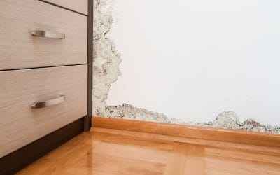 What is The Difference Between Water Damage and Mould?