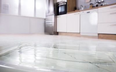 A Guide To Cleaning Up After A Flood