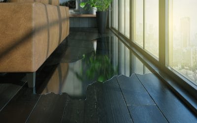 The Dangers Of Groundwater Flooding