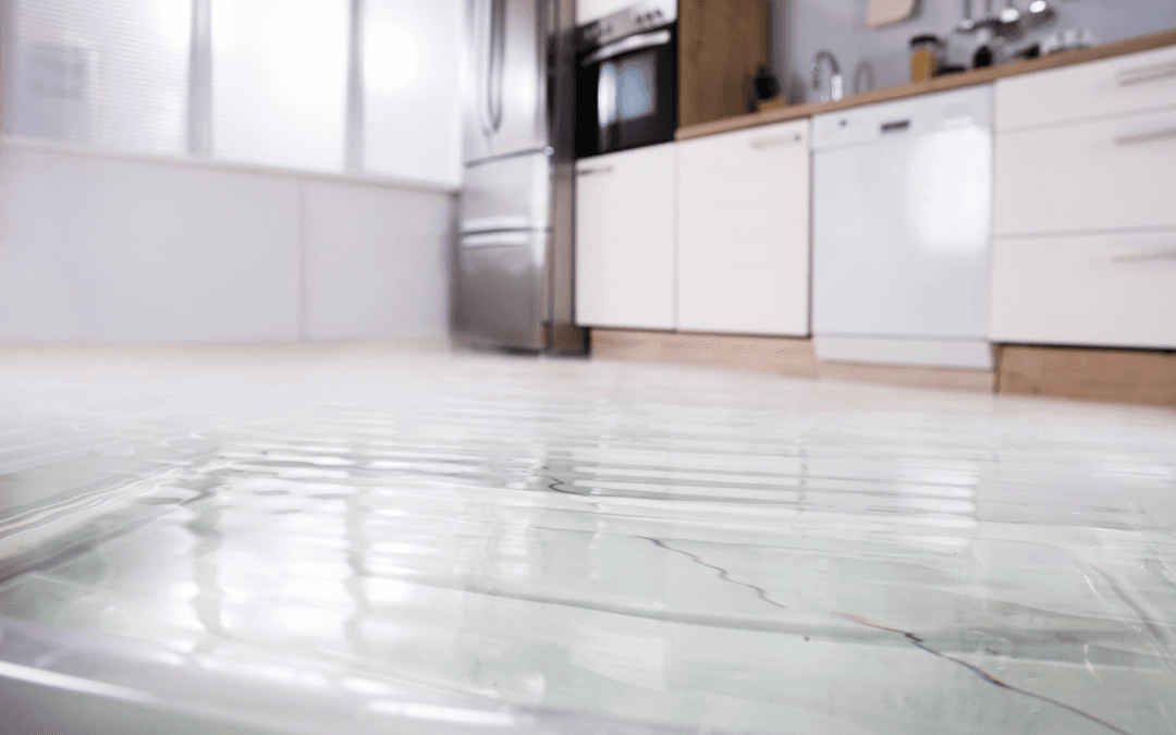 Some Common Signs Of Water Damage