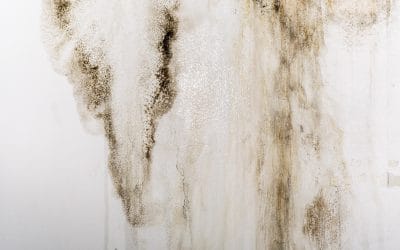 Three Common Signs Of Water Damage | Water Damage Repairs