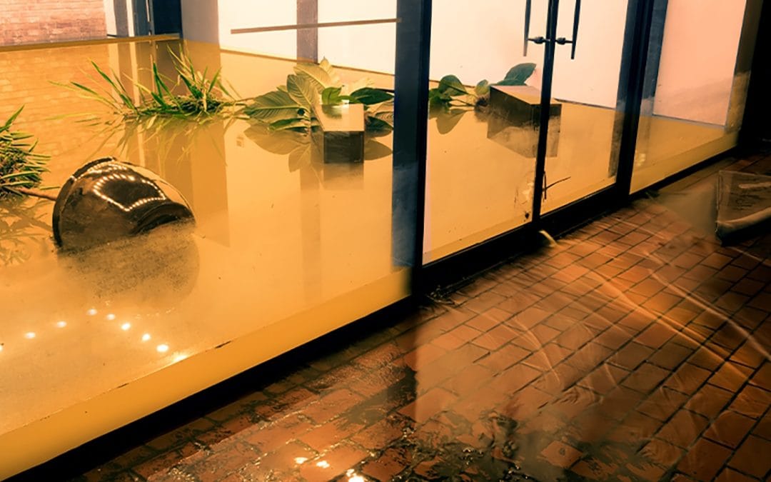 Flood Damage Restorations: A Business Owner’s Guide
