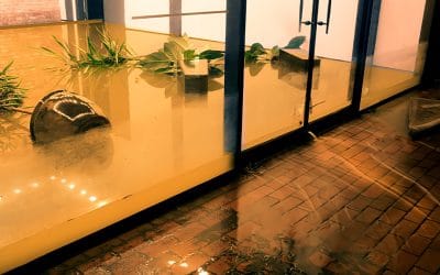Flood Damage Restorations: A Business Owner’s Guide