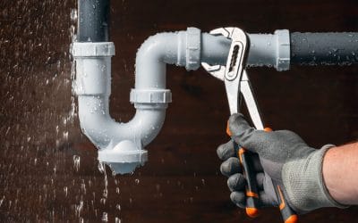 Why It’s Essential to Repair Water Damage After a Leak