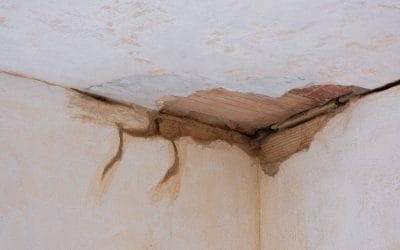 The Step-by-Step Process of Water Damage Restoration
