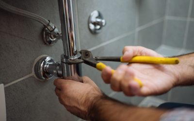 The Importance of Timely Water Pipe Repairs for Businesses