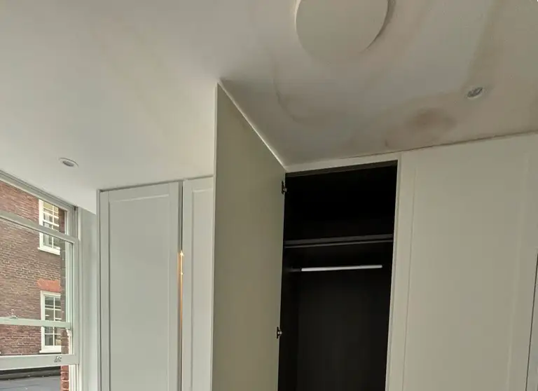 1 ceiling damage (1)