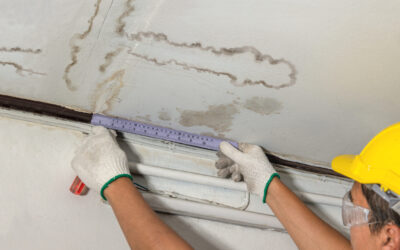 A Complete Guide to Water Damage Restoration: What Homeowners Need to Know