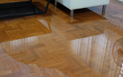 Flood Damage Repair in Your Home: What Costs to Expect and How to Budget