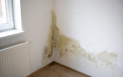 Water Damage: The Early Warning Signs You Should Look For