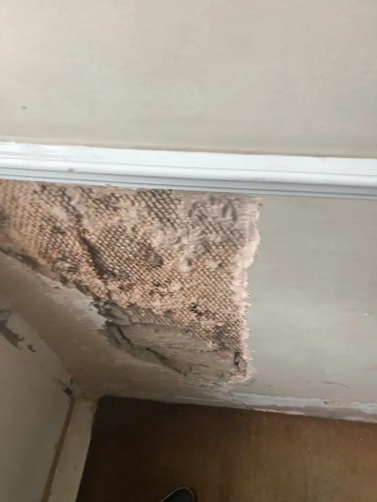 Damage to wall