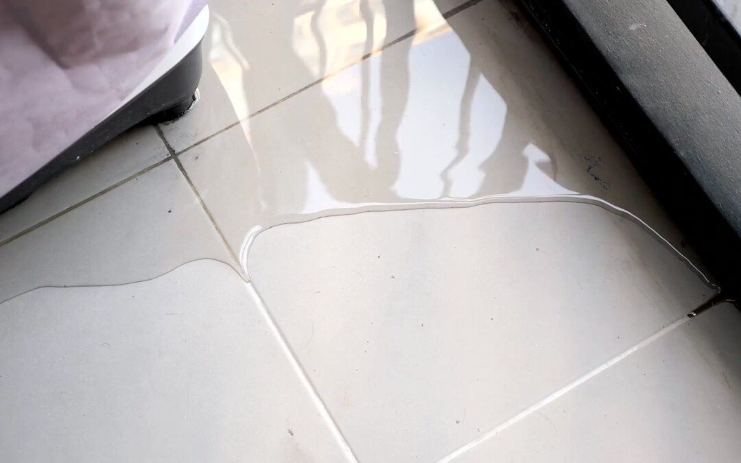 Understanding Water Damage Insurance: What’s Covered and What Isn’t